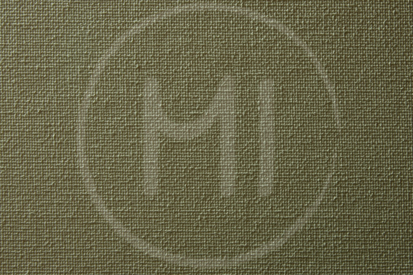 canvas 3